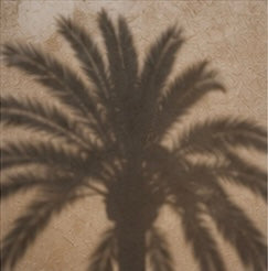 Zimmermann